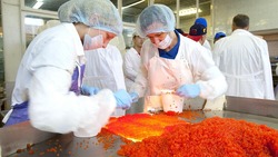 На Сахалине шести компаниям компенсируют из бюджета стоимость оплодотворенной красной икры
