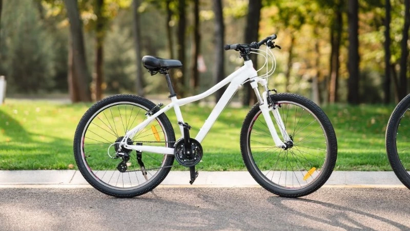 Мужчина лишился велосипеда за 10 тысяч рублей возле дома друга в Анивском районе