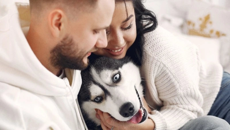 26 августа – какой праздник сегодня в России и мире