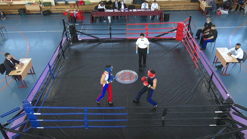 На здоровой волне. Выпуск 26 ноября