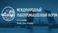 В Санкт-Петербурге рассказали о новом рыбзаводе на Шикотане