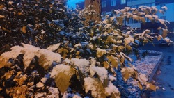 Первый снег укрыл улицы Южно-Сахалинска 3 ноября