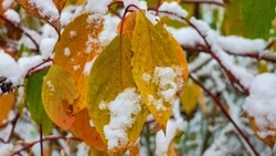 Небольшой снег и до –11 градусов ждет жителей Сахалина и Курил 23 октября