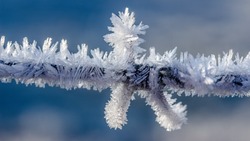 Мороз до -37, снег и тучи: прогноз погоды на Сахалине и Курилах 29 января