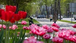 Аномальную жару +30 градусов спрогнозировали для Сахалина на 25 июня