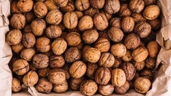 Ореховый Спас 29 августа 2023: приметы, что нельзя делать