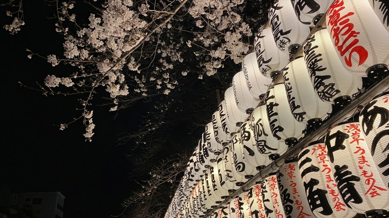 Пустые улицы и гейши в масках: сахалинцы разведали обстановку в Японии