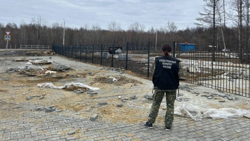 Бастрыкин заинтересовался делом о не пережившем весну сквере в Рощино