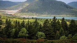 Экотропа на Кунашире претендует на победу в конкурсе журнала National Geographic