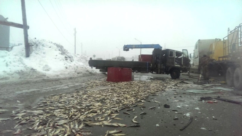 Рыба засыпала всю дорогу при столкновении двух большегрузов