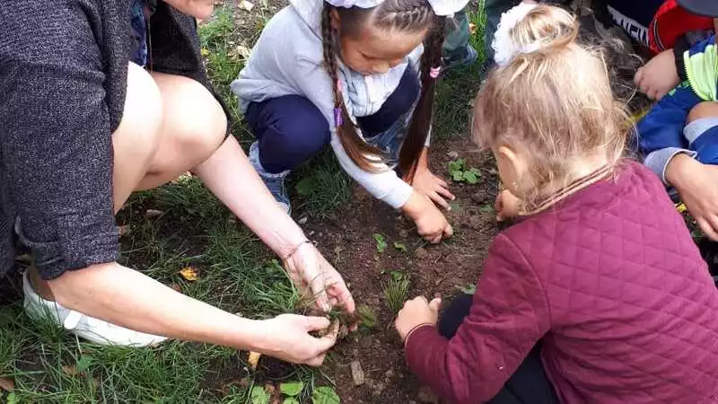 Всероссийская акция «Сохраним лес» стартовала в Анивском городском округе