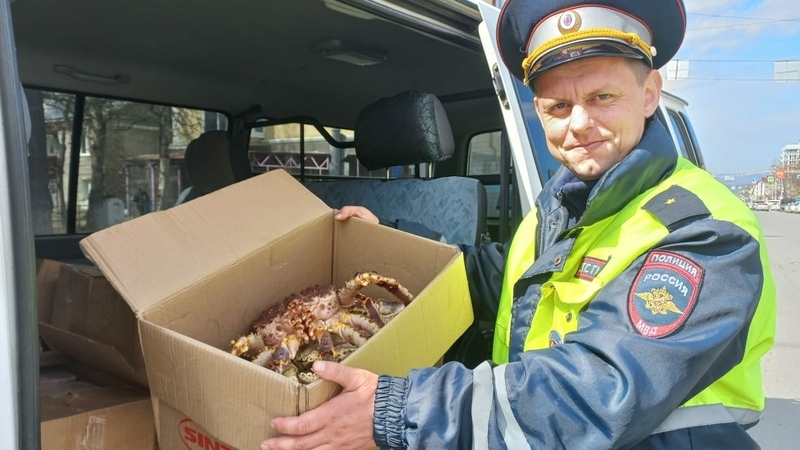 Сахалинца, который пытался дать взятку сотруднику ДПС из-за крабов, будут судить