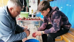 Необычный картофель вырастил дворовый детский тренер из Южно-Сахалинска