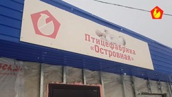 Магазин птицефабрики «Островная» откроют в Аниве перед Новым годом