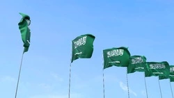 Безвизовый режим между Россией и Саудовской Аравией заработает с 11 мая