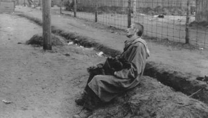 День памяти жертв Холокоста 27 января 2025: история катастрофы и героизм советских солдат