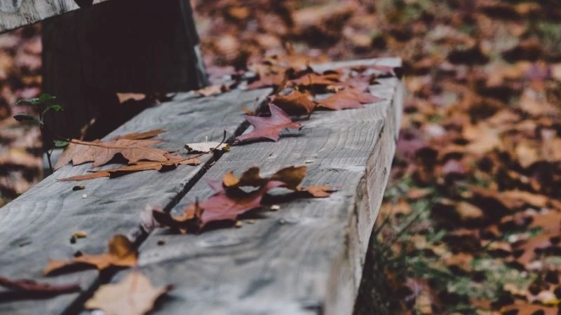 Прогноз погоды в Южно-Сахалинске на 6 октября