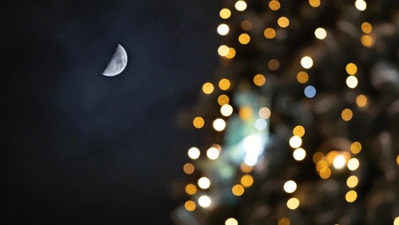 В Южно-Сахалинске зажгли огни новогоднего волшебства: фоторепортаж