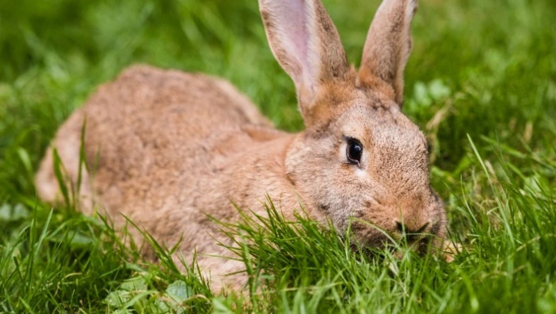 Церковный праздник 12 октября 2024: что нельзя делать в этот день, приметы