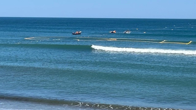Большинство районов на Сахалине и Курилах включилось в лососевую путину