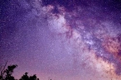 Гороскоп на 30 января: Львов ждет удача, Рыбам нужна аккуратность во всем