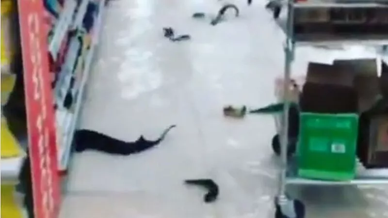 Сахалинцы пересылают друг другу видео живой рыбы, скачущей на полу в супермаркете