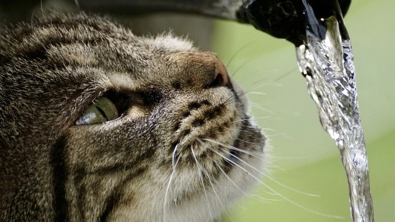 Сегодня порядка 30 тысяч жителей Южно-Сахалинска останутся без воды