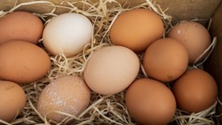 Жителям отдаленных районов Южно-Сахалинска привезут яйцо и птицу с 20 по 24 марта