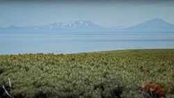 Издатель игры «Мир танков» представил документальный фильм о Курильской десантной операции