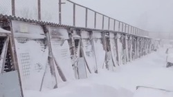 Приют для животных «Пес и кот» занесло мартовской метелью в Южно-Сахалинске 