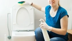 Иностранка-уборщица южно-сахалинского аквапарка вынесла наушники клиентки, а позже смыла в унитаз