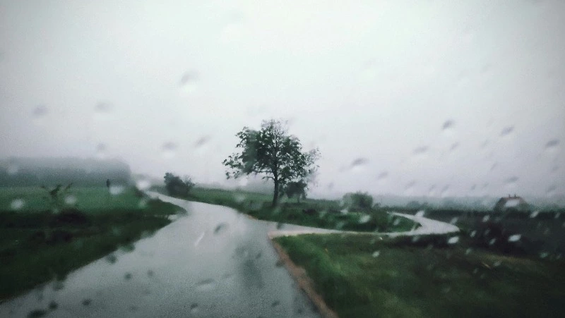 Небольшой дождь и до +24 градусов прогнозируют синоптики в Южно-Сахалинске 6 июля