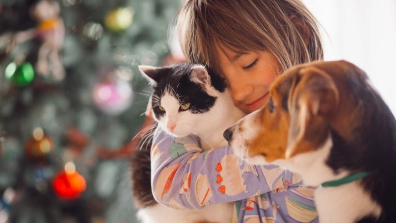 Обязательное чипирование собак и кошек на Сахалине не провели больше девяти тысяч владельцев