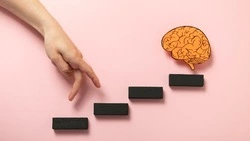 Жители России назвали самые высокоинтеллектуальные профессии