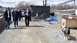 Проверка выявила нарушения в приюте для бездомных животных «Сахалининтермодуль» 