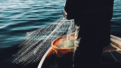 Сахалинских рыбаков призвали оформлять участки для добычи лососевых