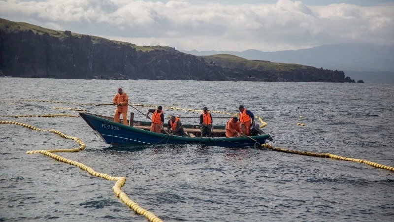 На финишной прямой