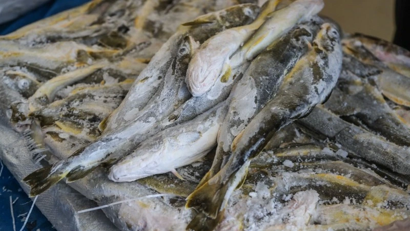 Продажа наваги и камбалы по доступным ценам пройдет в Южно-Сахалинске 10 марта 