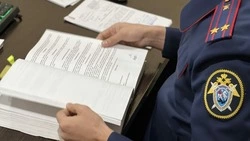 Сахалинка, сбившая насмерть подростка, может сесть на 12 лет