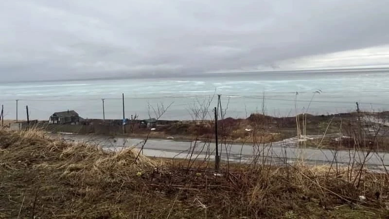 «Похоже, подошла»: сахалинцы замерли в ожидании селедки