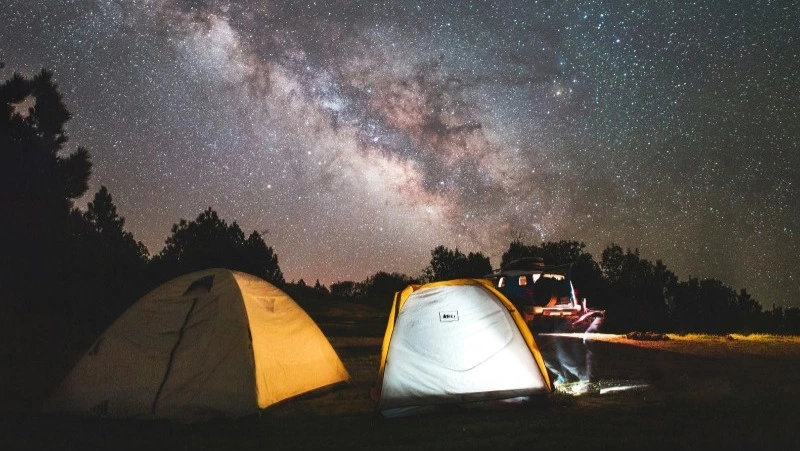 Гороскоп на 23 января 2024 года: неожиданные события и короткие совещания