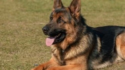 Желаю тишины и покоя. Глава Сахалинской области поздравил пограничников с праздником