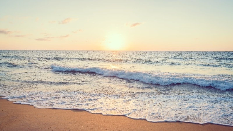 МТС первой из операторов «высадила» мобильный интернет на лазурный пляж «Садовники» на Сахалине