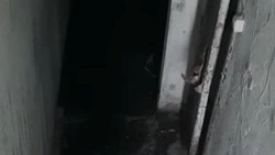 Жительница Южно-Сахалинска обвиняет военных в затоплении подвала