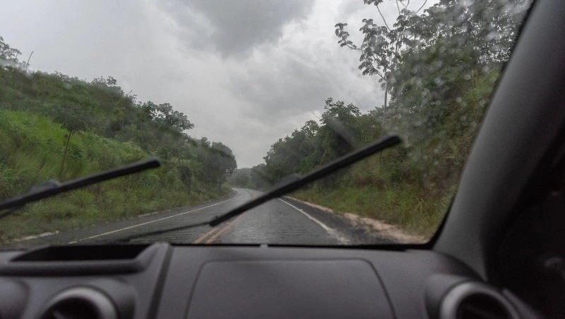 Пасмурную погоду ожидают в Южно-Сахалинске 20 июля