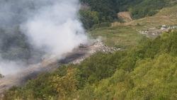 Ветер отнес дым на горящей свалке в Холмске от местных жителей