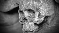 В Охе нашли скелет недалеко от стелы памяти погибшим в нефтегорском землетрясении