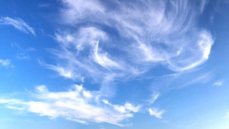 Народные приметы на 15 марта 2024: что нельзя делать на Федота Ветроноса