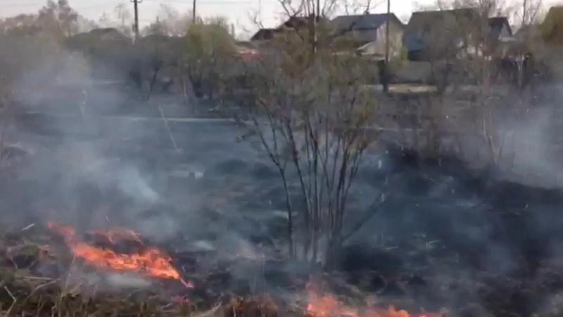 В пригороде Южно-Сахалинска горит трава