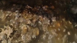 Жители Южно-Сахалинска пожаловались на фекальный потоп в подвале многоквартирного дома